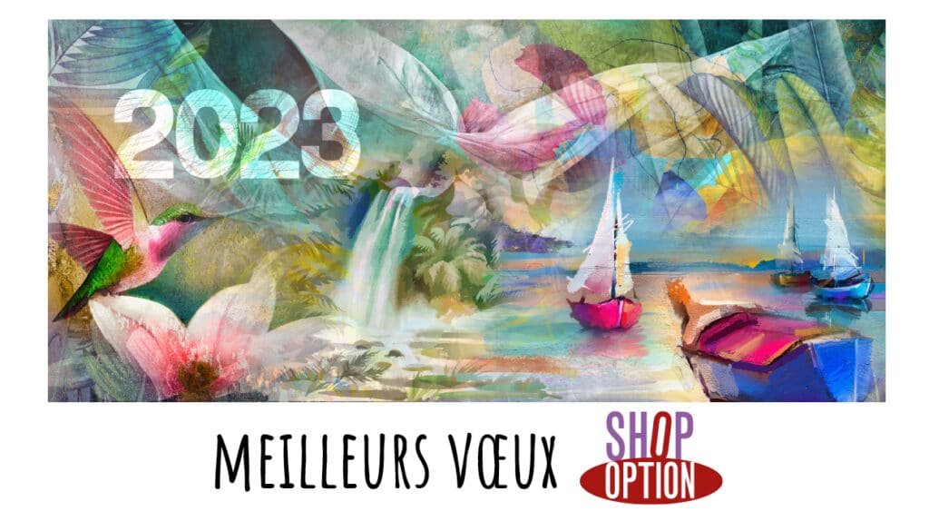 CARTE VOEUX shop option 2023