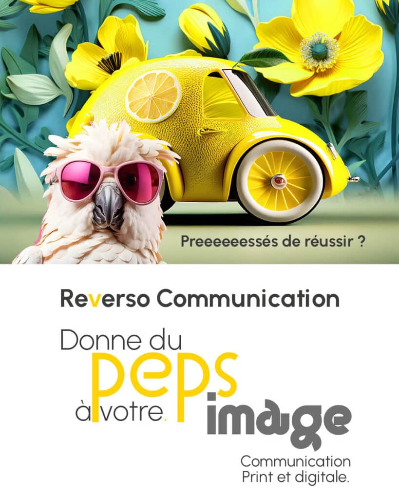 POST INSTA REVERSO JUIN 2024 V5